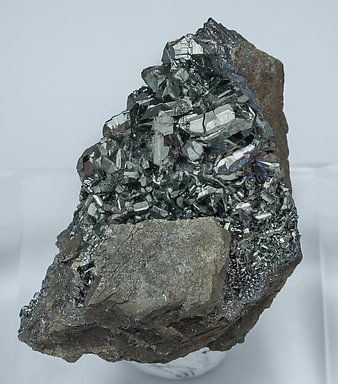 Chalcocite on Pyrite. 
