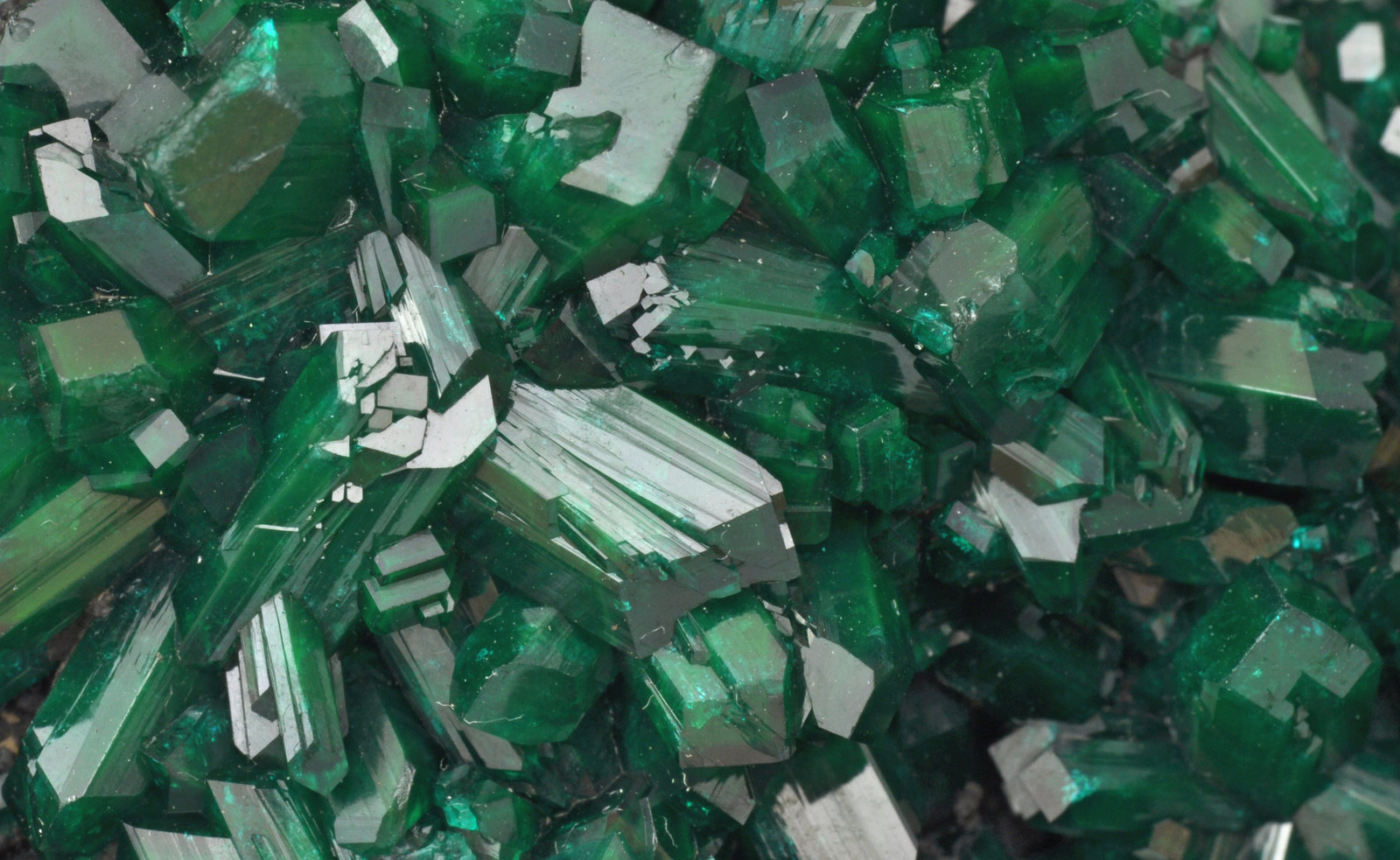 specimens/s_imagesAL4/Dioptase-MB36AL4d1.jpg