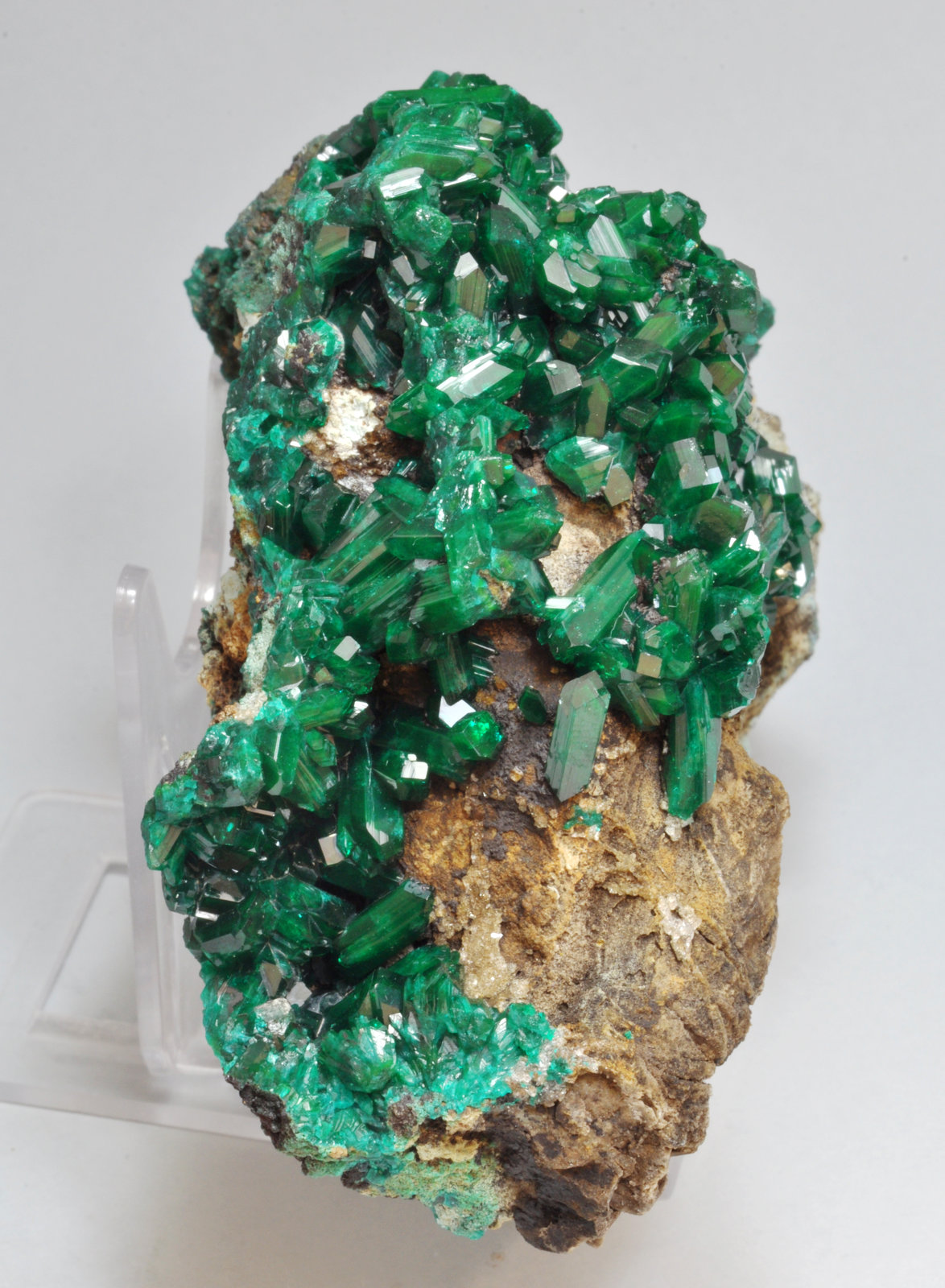 specimens/s_imagesAL4/Dioptase-MB36AL4s2.jpg