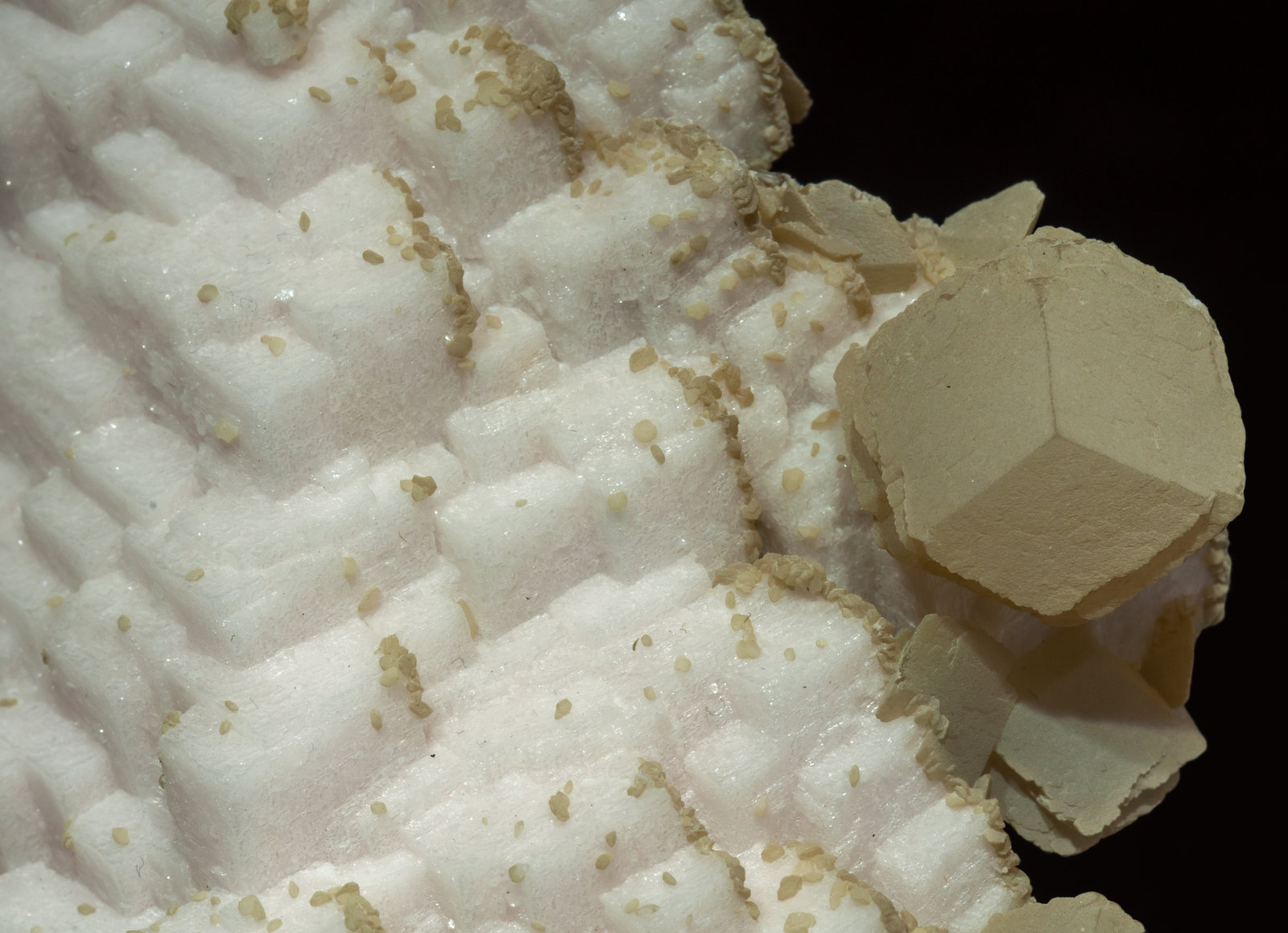 specimens/s_imagesAL4/Dolomite-EE87AL4d.jpg