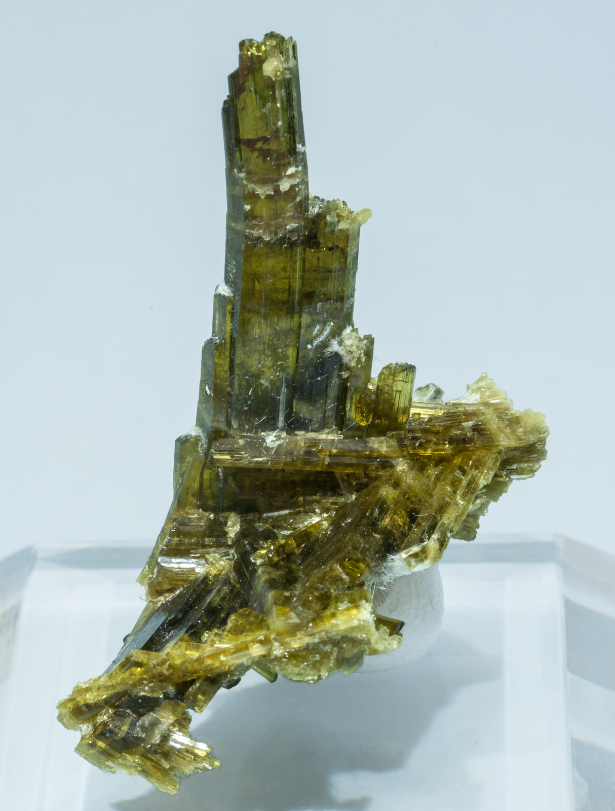 specimens/s_imagesAL4/Epidote-MB14AL4f.jpg