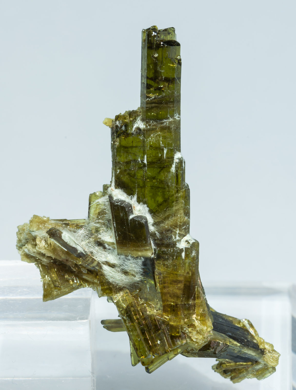 specimens/s_imagesAL4/Epidote-MB14AL4r.jpg