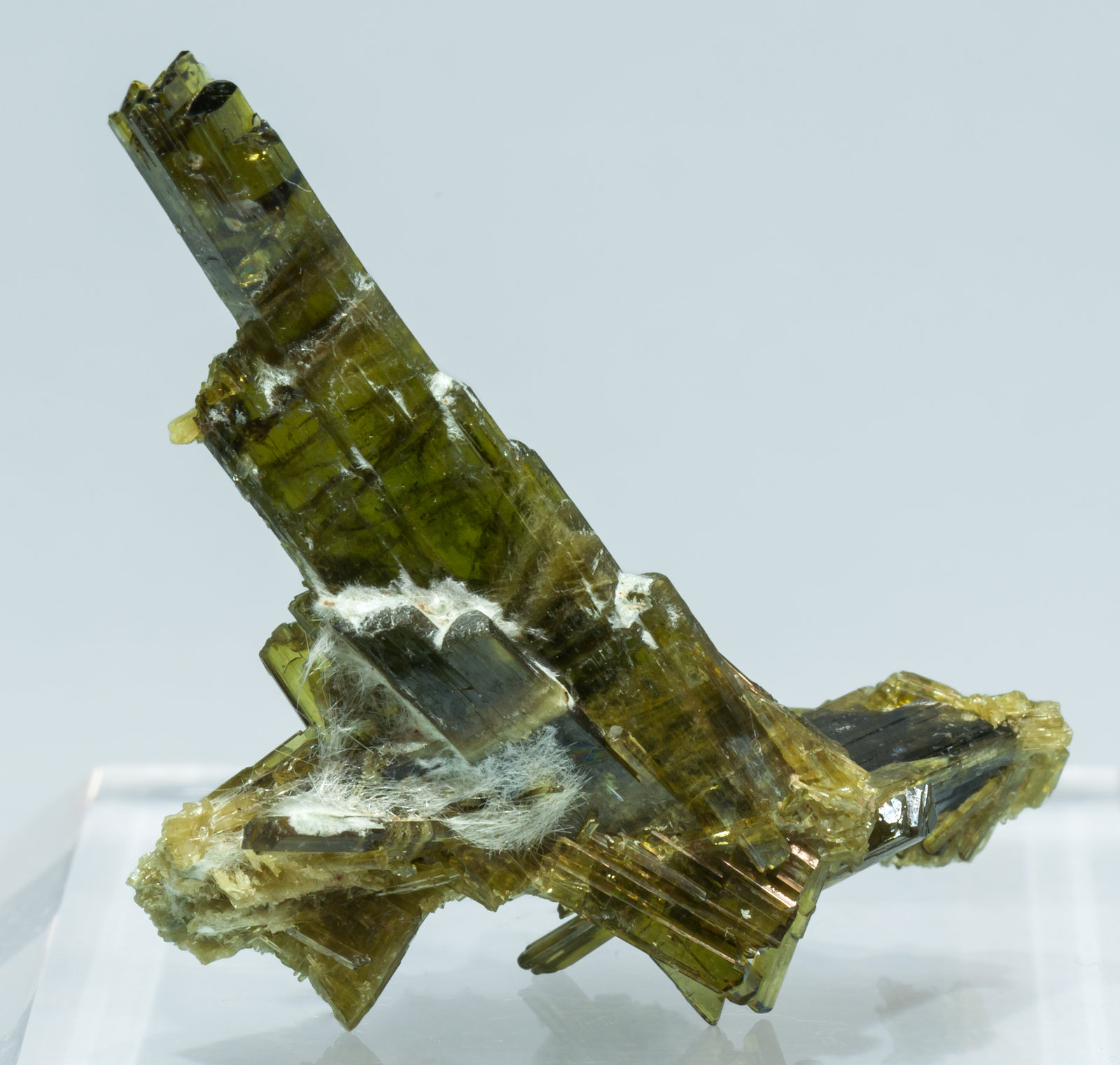 specimens/s_imagesAL4/Epidote-MB14AL4r2.jpg