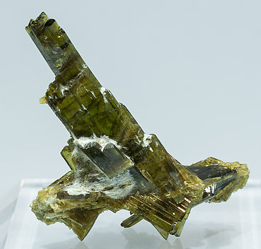 Epidote. Rear