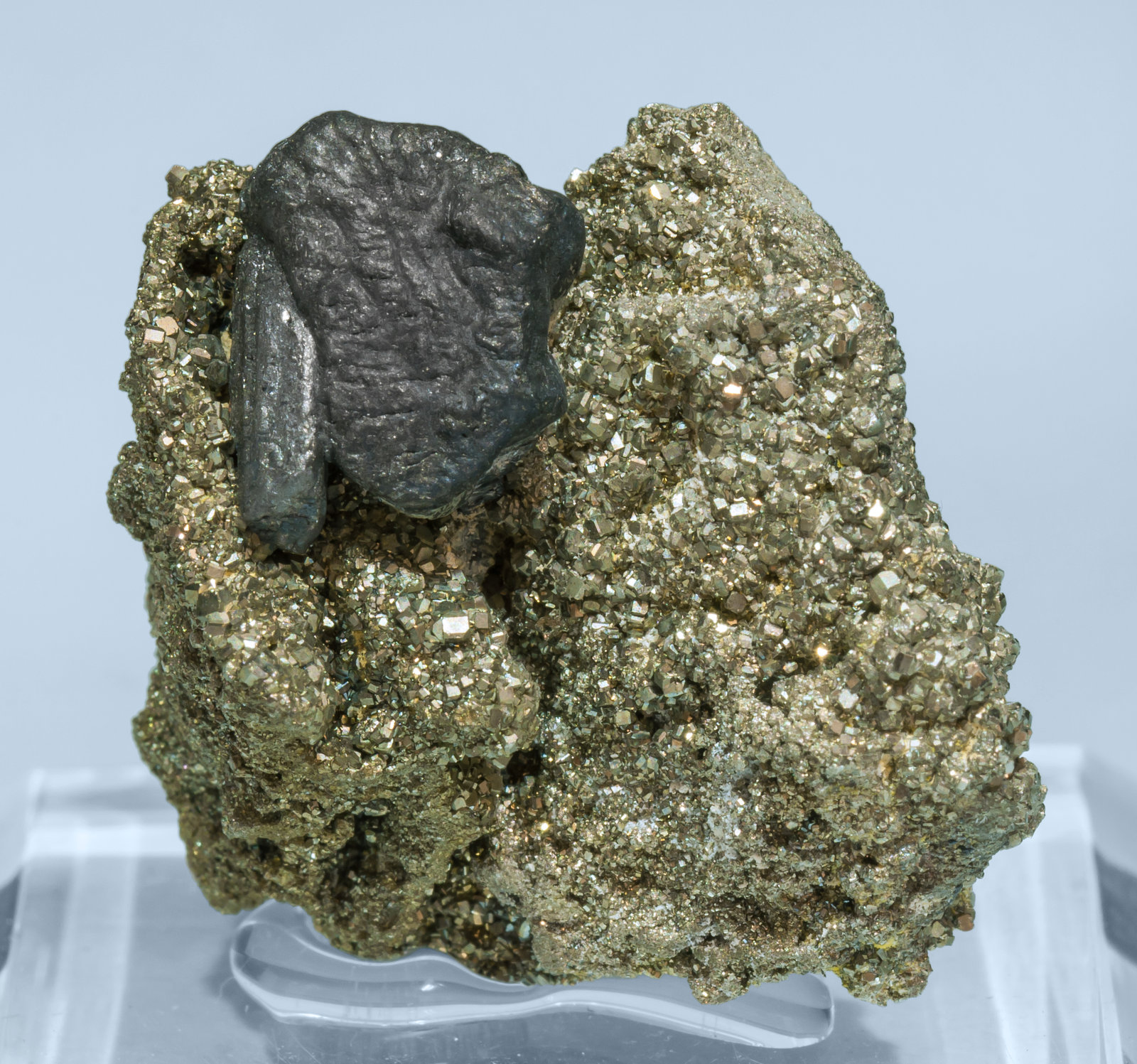 specimens/s_imagesAL4/Ferrokesterite-TT87AL4f.jpg