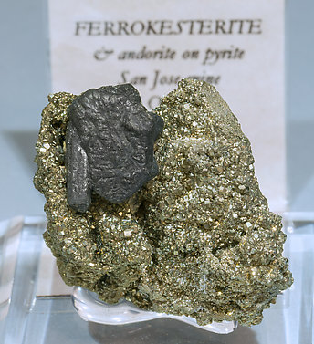 Ferrokesterite with Andorite on Pyrite. 
