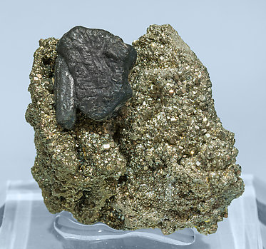 Ferrokesterite with Andorite on Pyrite.