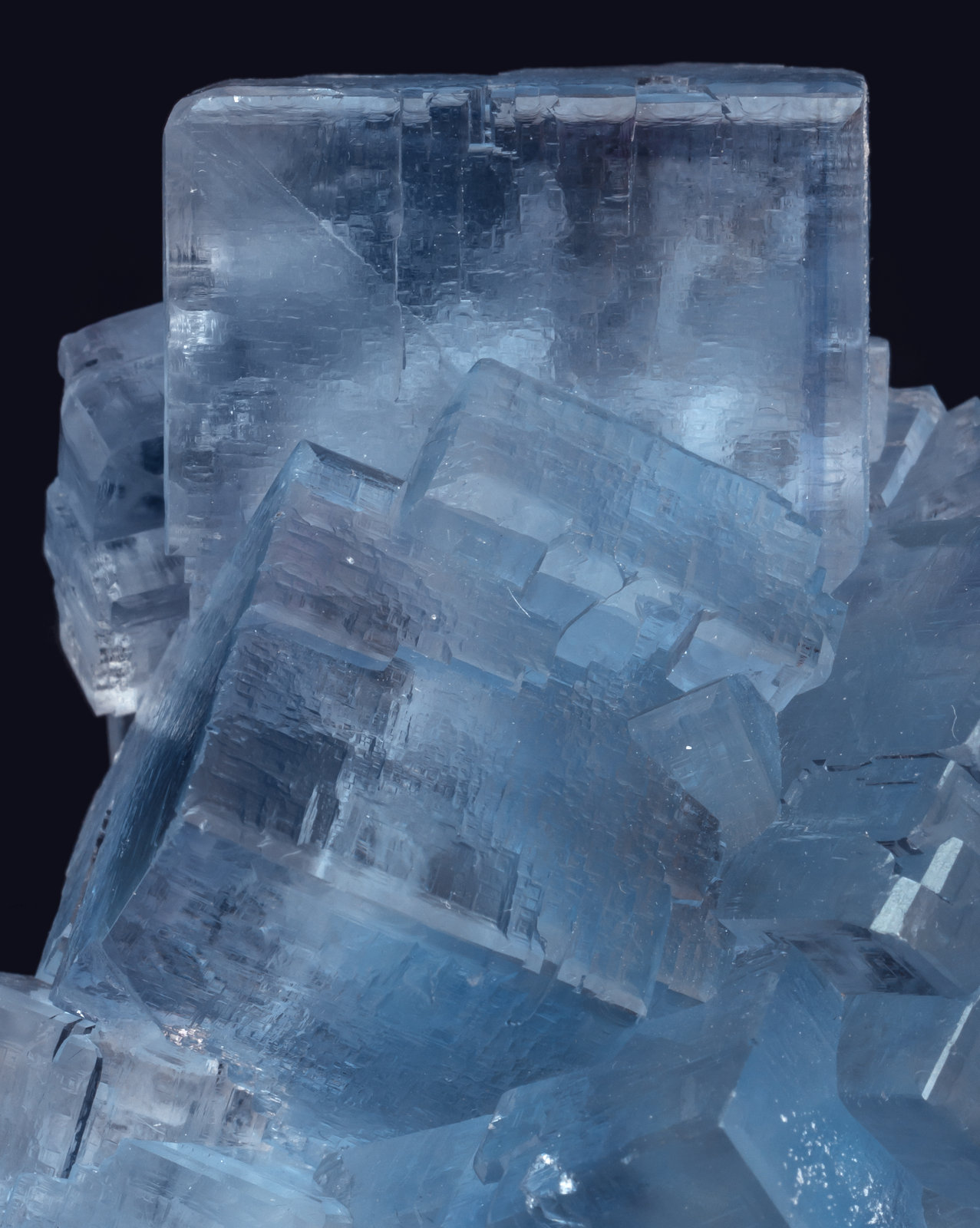 specimens/s_imagesAL4/Fluorite-NB89AL4d.jpg