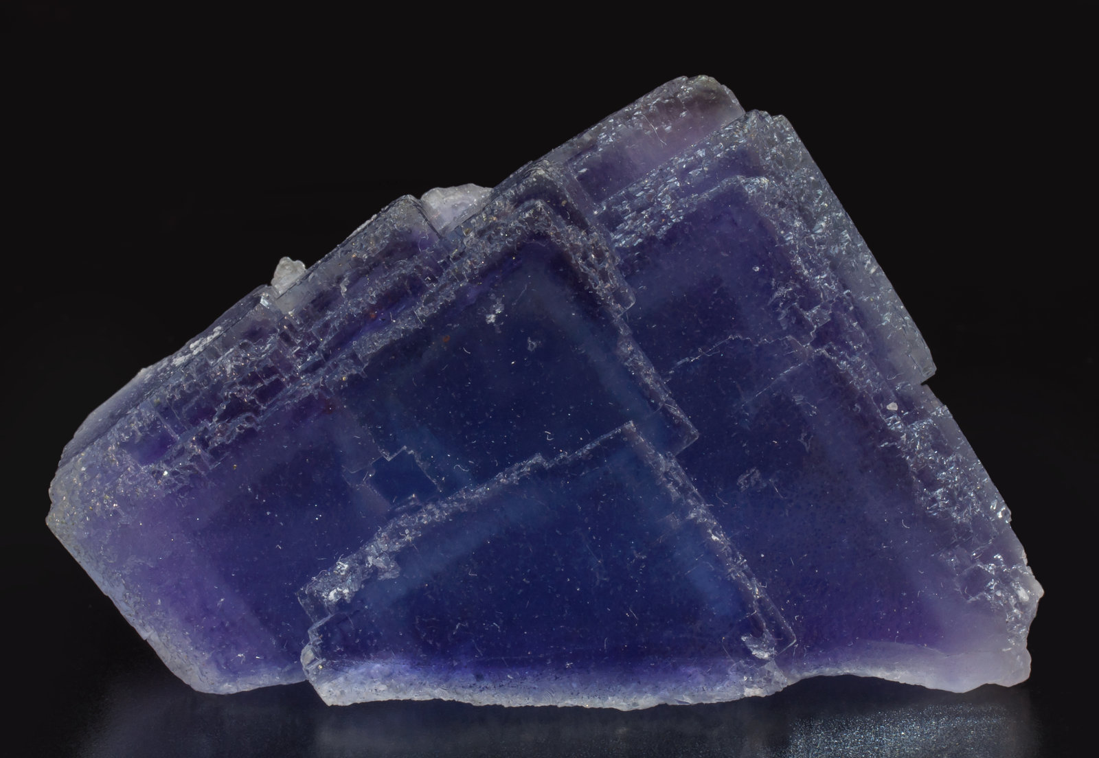 specimens/s_imagesAL4/Fluorite-NE87AL4f1.jpg