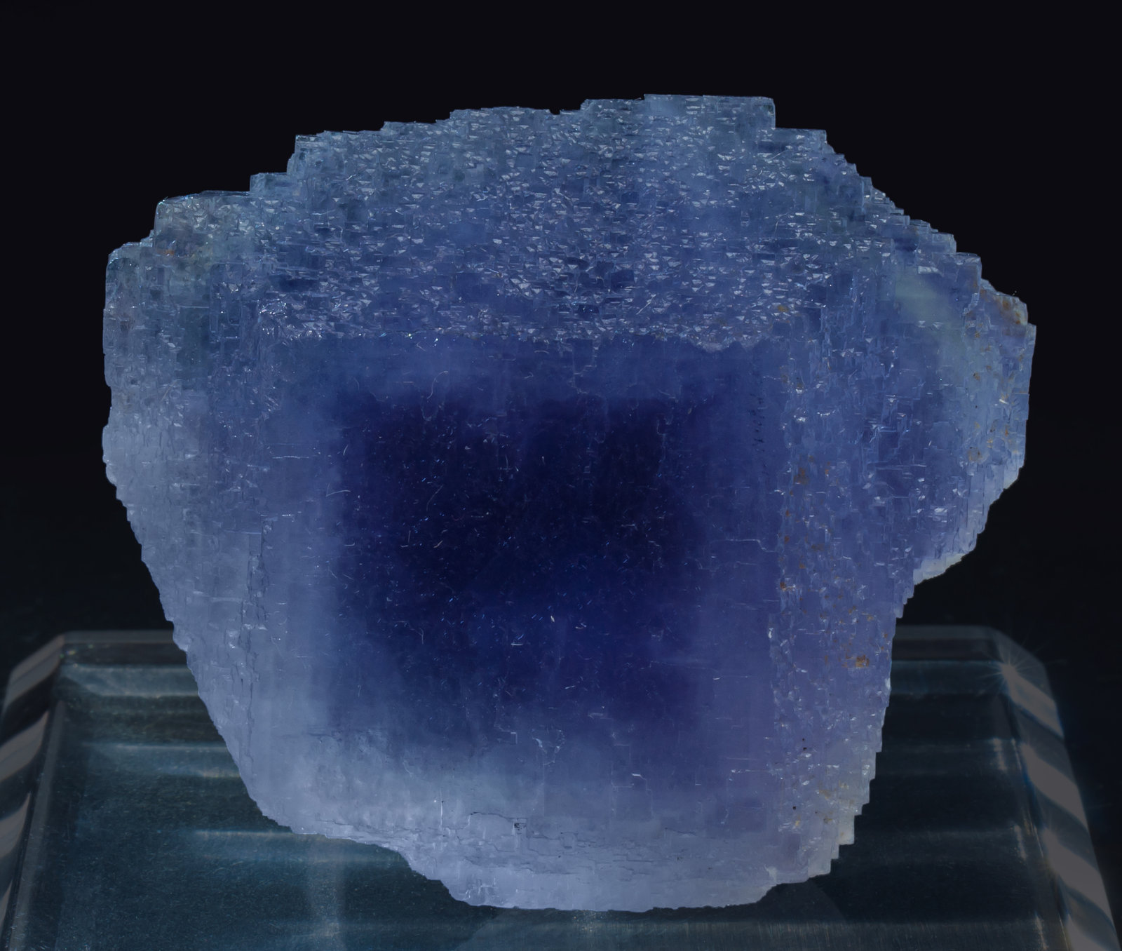 specimens/s_imagesAL4/Fluorite-NF37AL4f1.jpg