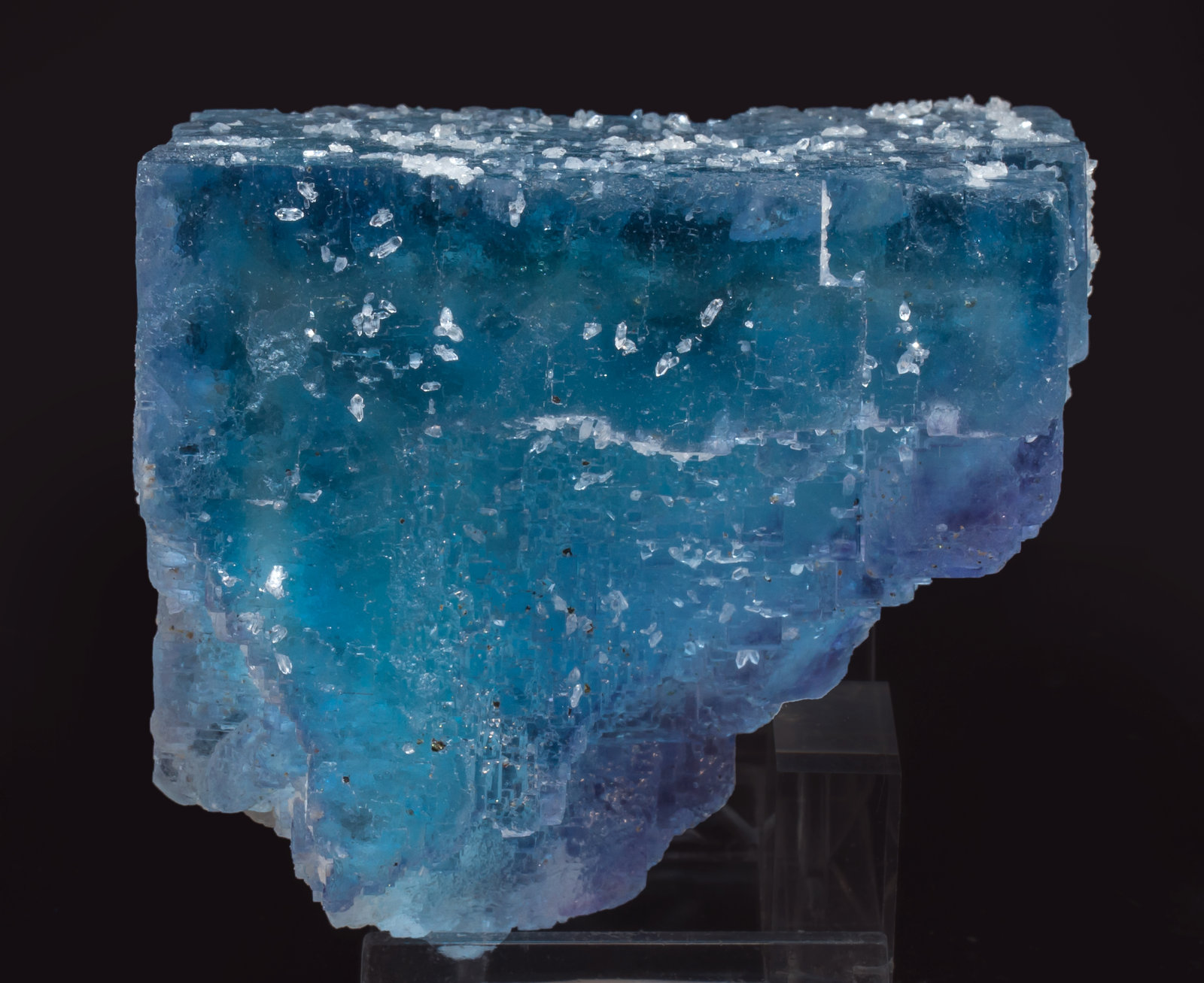 specimens/s_imagesAL4/Fluorite-NT98AL4t.jpg