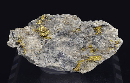 Gold with Quartz (variety chalcedony). 