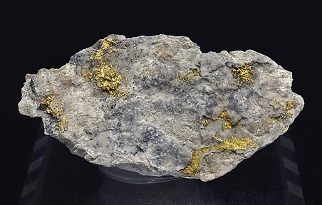 Gold with Quartz (variety chalcedony).