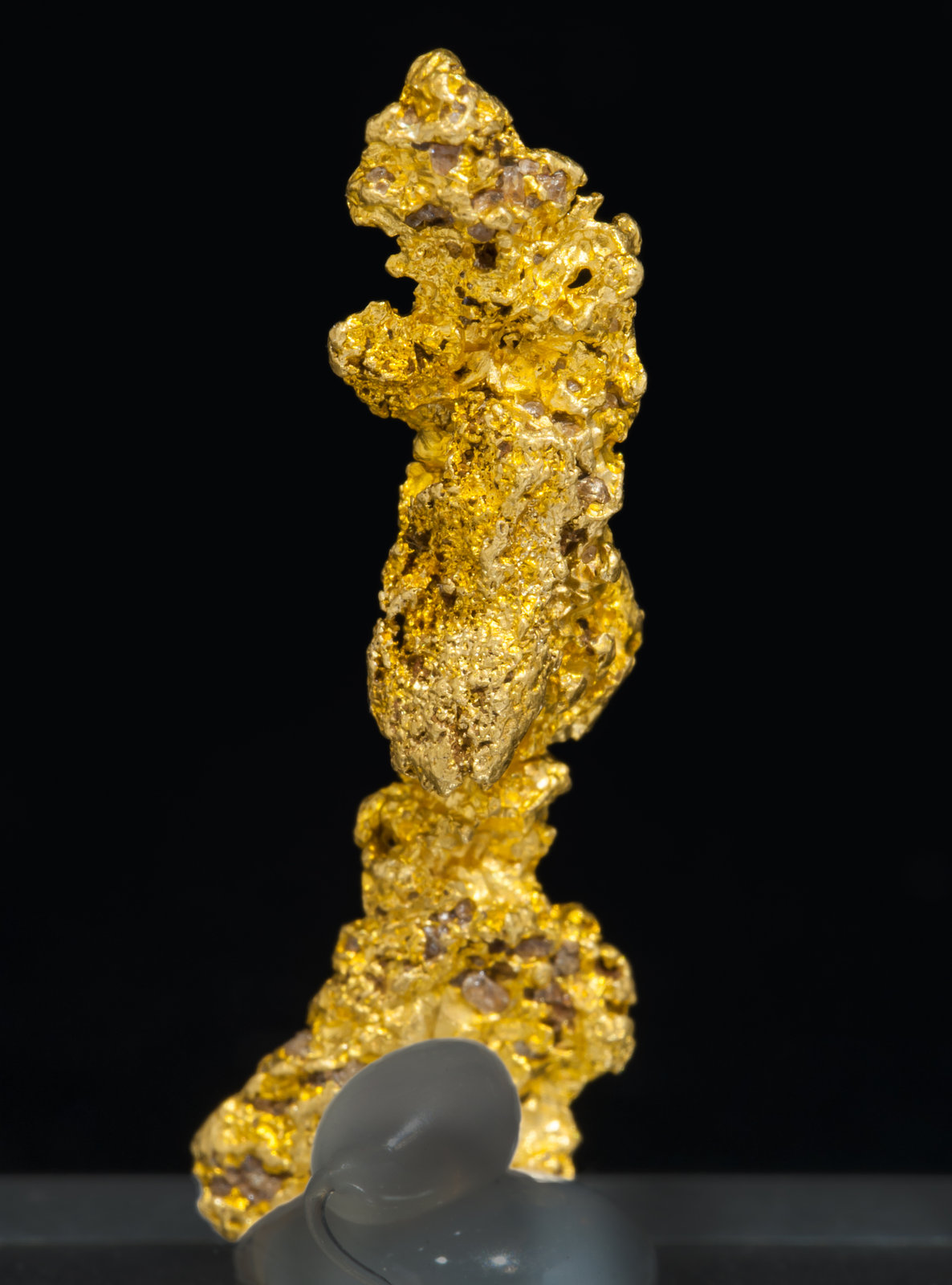 specimens/s_imagesAL4/Gold-TB38AL4r.jpg