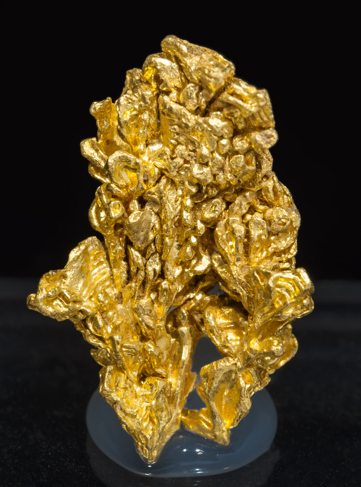 specimens/s_imagesAL4/Gold-TT46AL4f.jpg