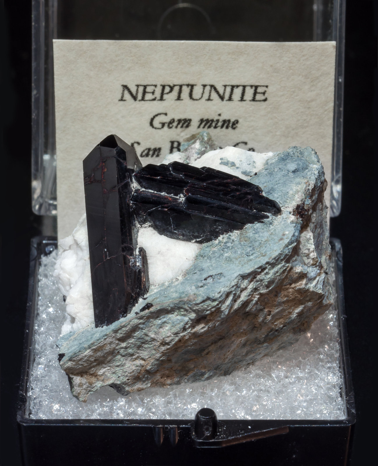 specimens/s_imagesAL4/Neptunite-TM47AL4f1.jpg