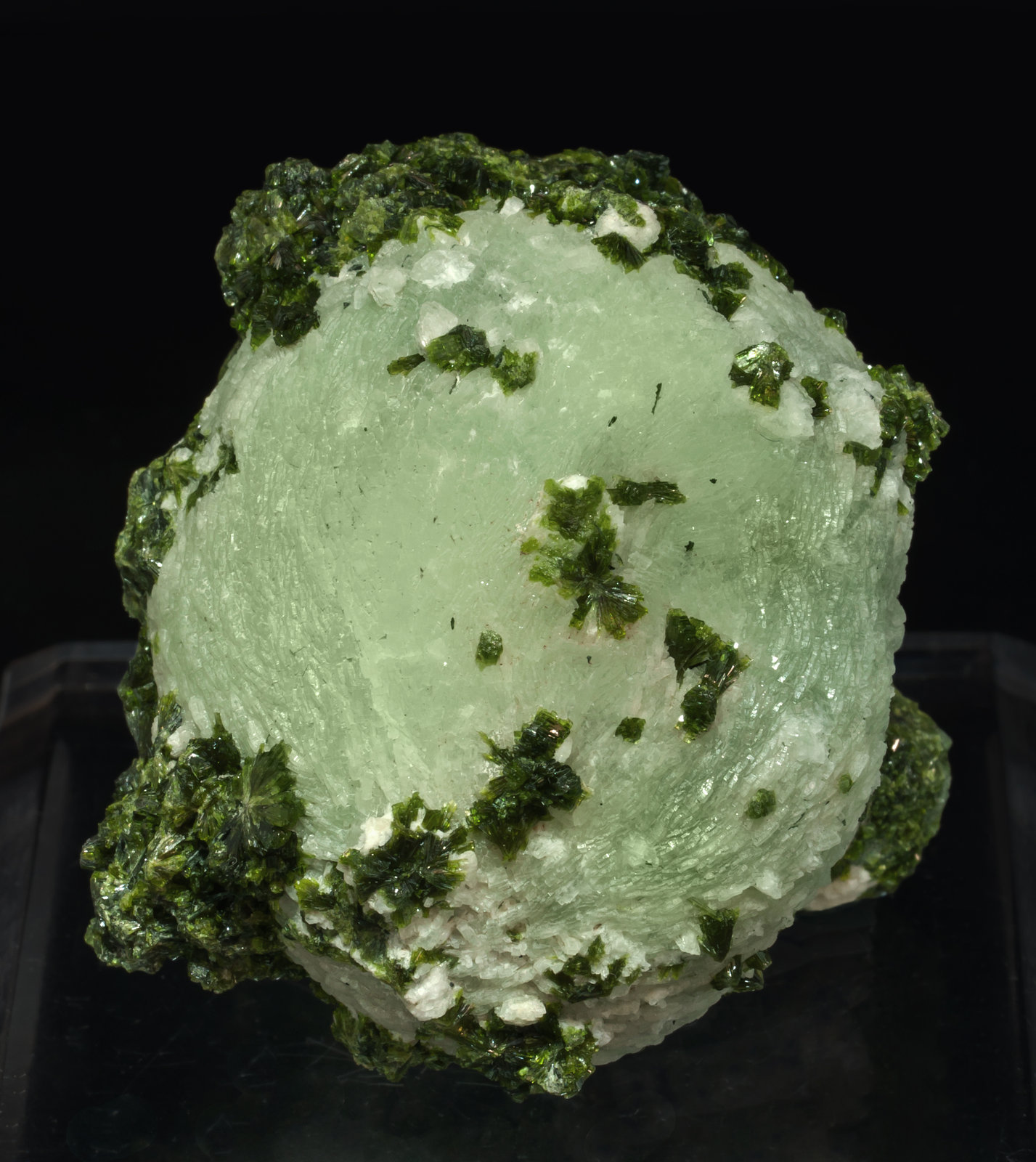 specimens/s_imagesAL4/Prehnite-MB16AL4f.jpg