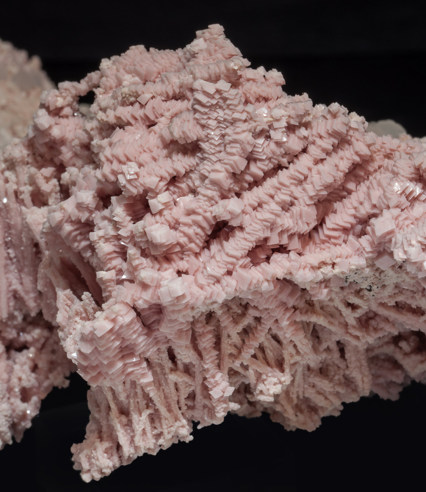 specimens/s_imagesAL4/Rhodochrosite-LR47AL4d1.jpg