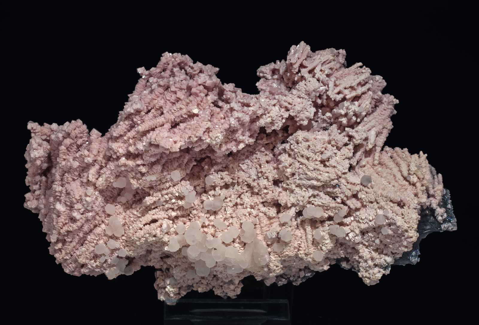 specimens/s_imagesAL4/Rhodochrosite-LR47AL4f.jpg