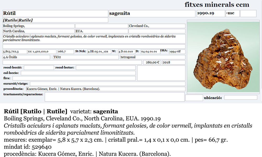 specimens/s_imagesAL4/Rutile-CT76AL4e.jpg