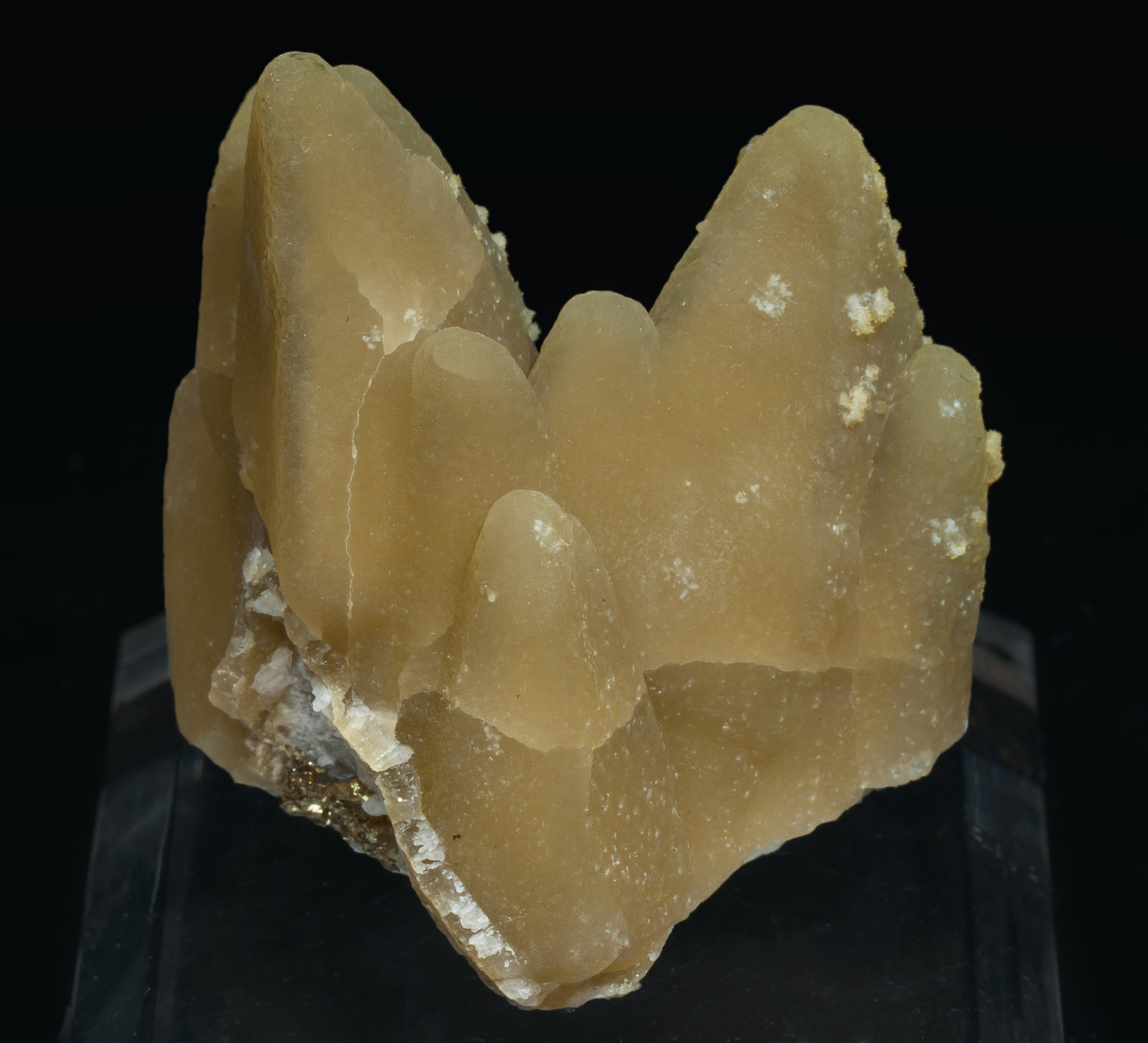 specimens/s_imagesAL4/Smithsonite-TG66AL4f.jpg