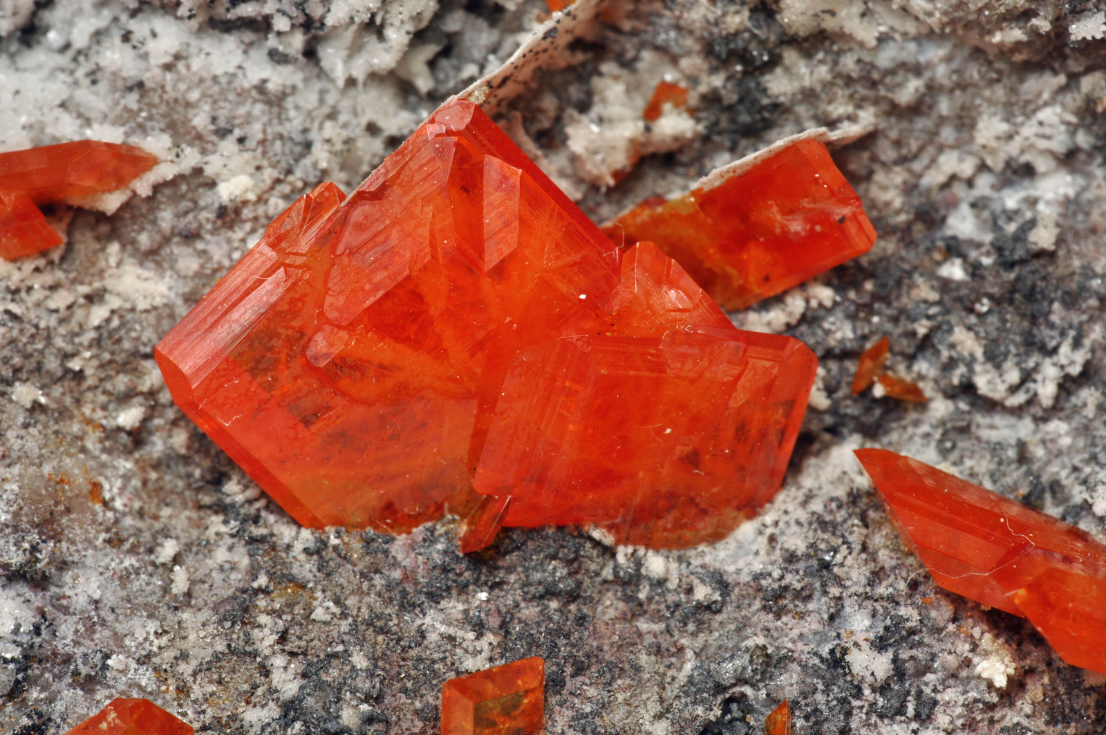 specimens/s_imagesAL4/Wulfenite-MX470AL4d2.jpg