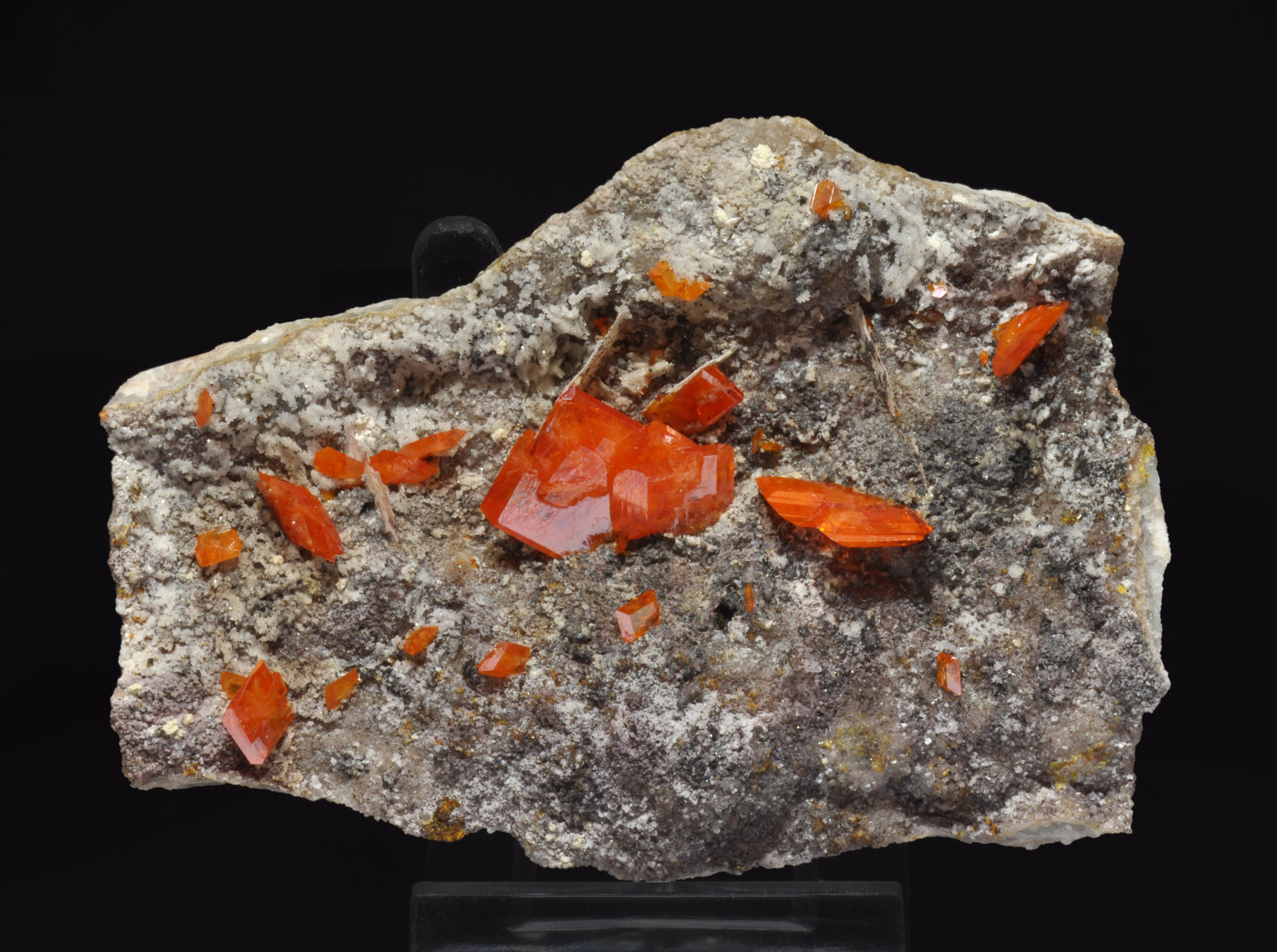 specimens/s_imagesAL4/Wulfenite-MX470AL4f1.jpg