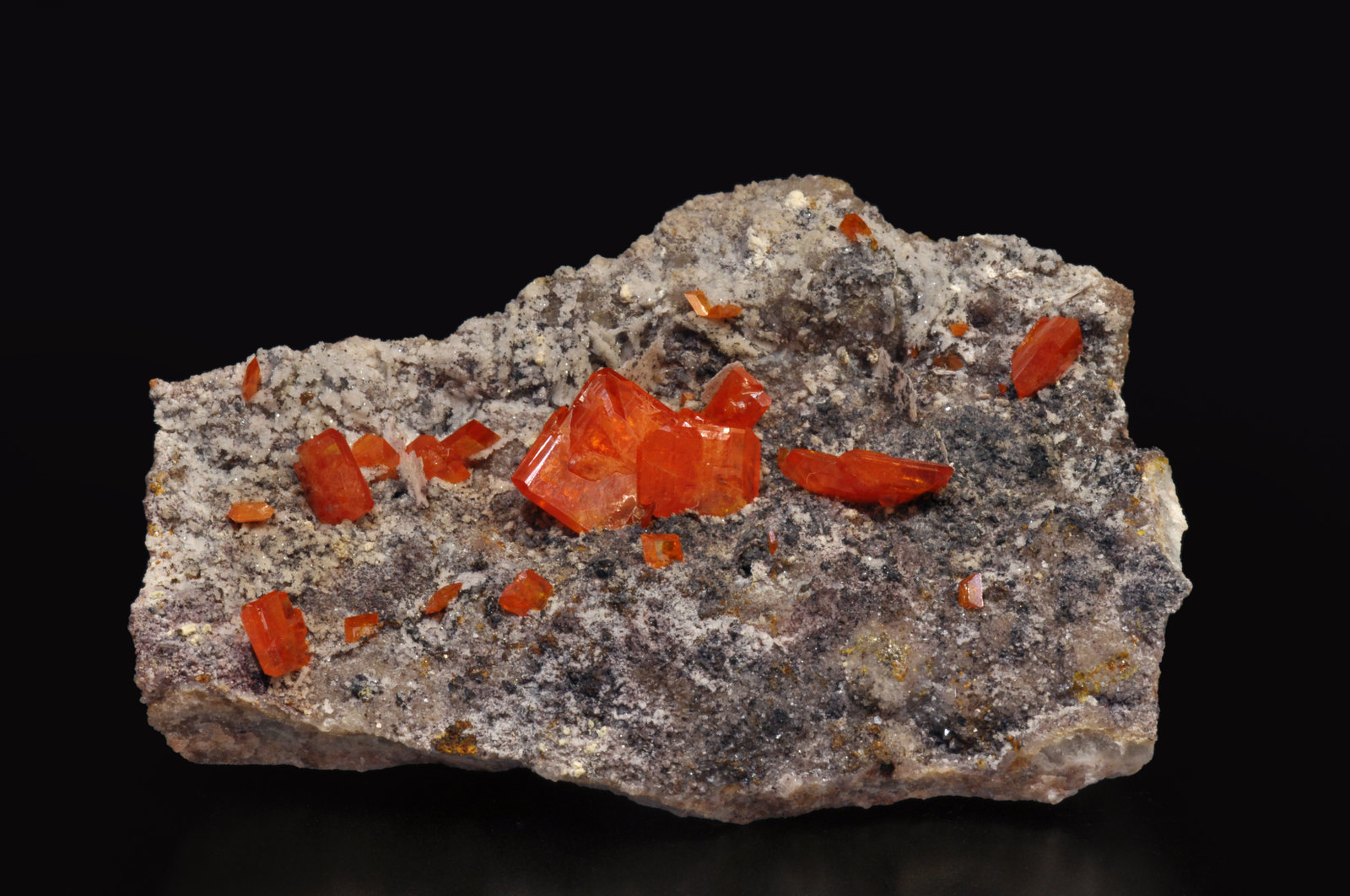 specimens/s_imagesAL4/Wulfenite-MX470AL4f2.jpg