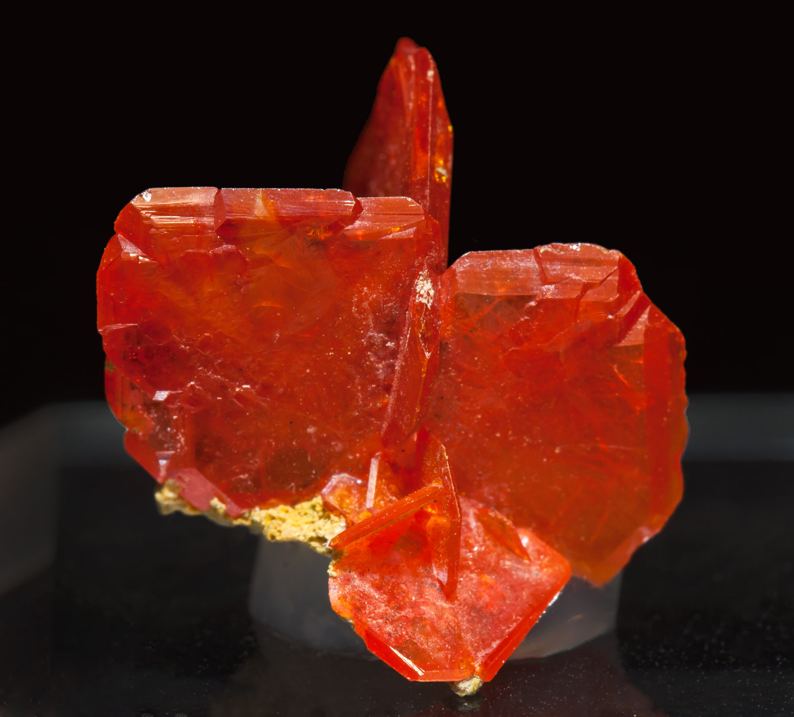 specimens/s_imagesAL4/Wulfenite-MZ62AL4f.jpg