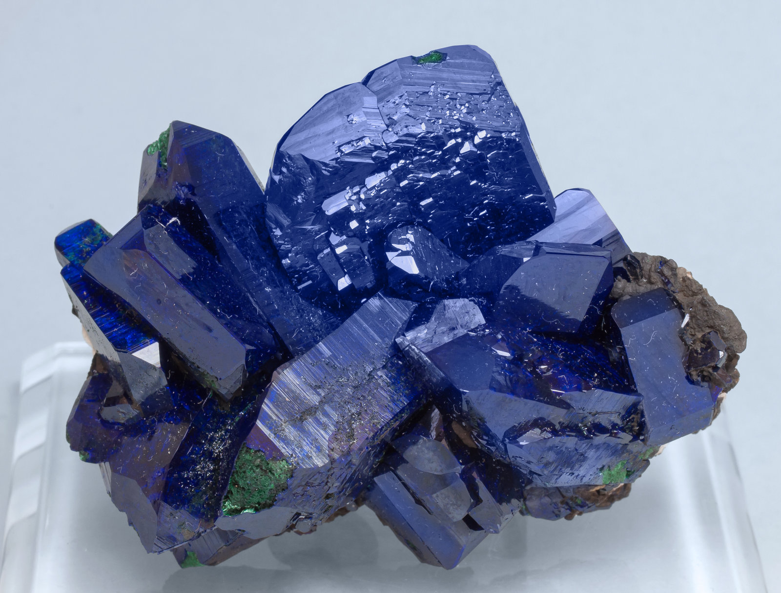 specimens/s_imagesAL5/Azurite-TA74AL5f.jpg