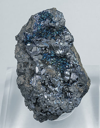 Chalcocite with Pyrite.