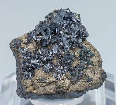 Chalcocite with Sb-rich Tennantite-(Fe) and Pyrite. 