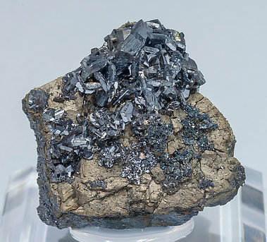 Chalcocite with Sb-rich Tennantite-(Fe) and Pyrite.