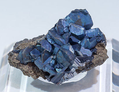 Chalcocite with Pyrite.