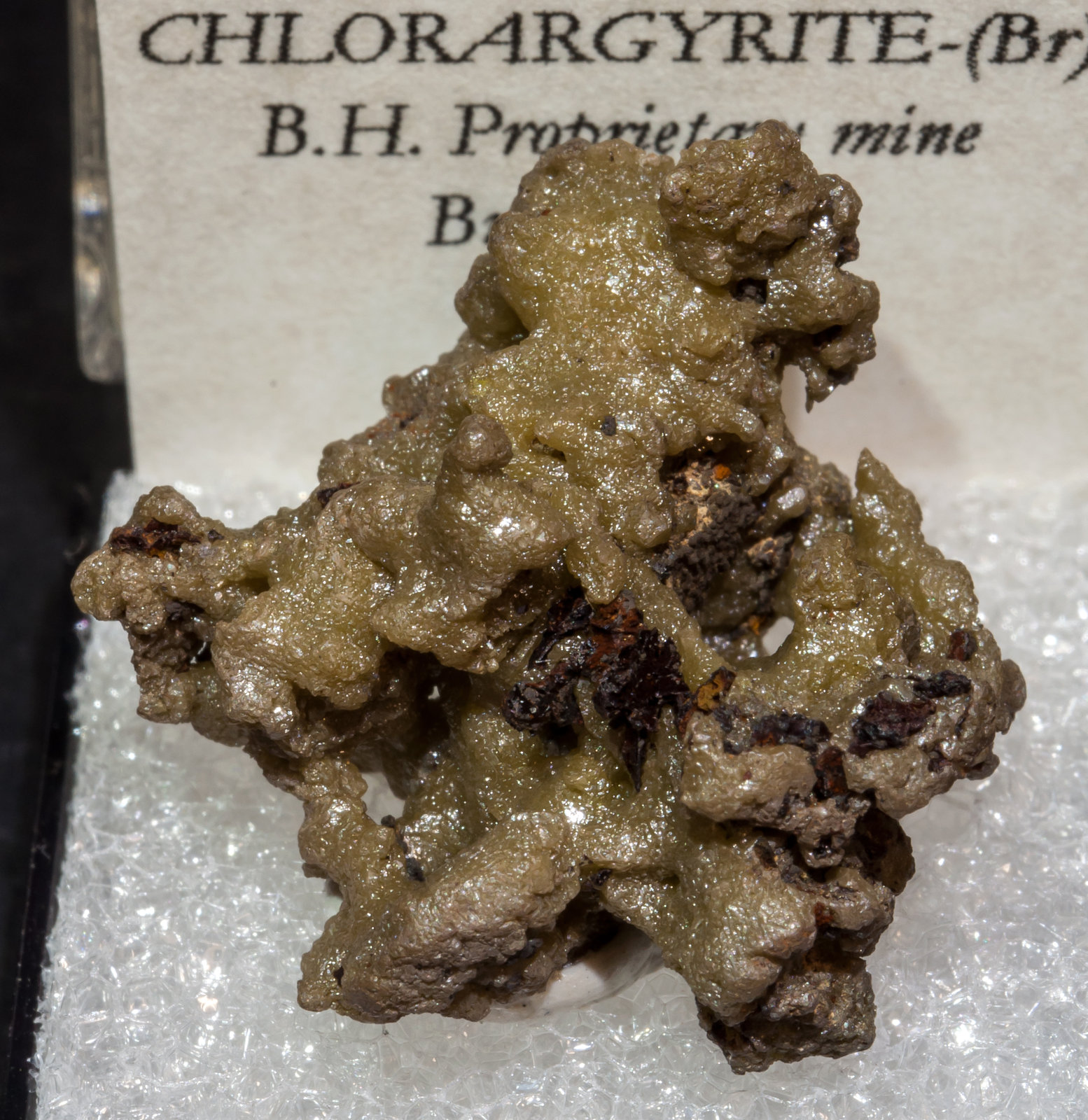 specimens/s_imagesAL5/Chlorargyrite-TQ87AL5f2.jpg
