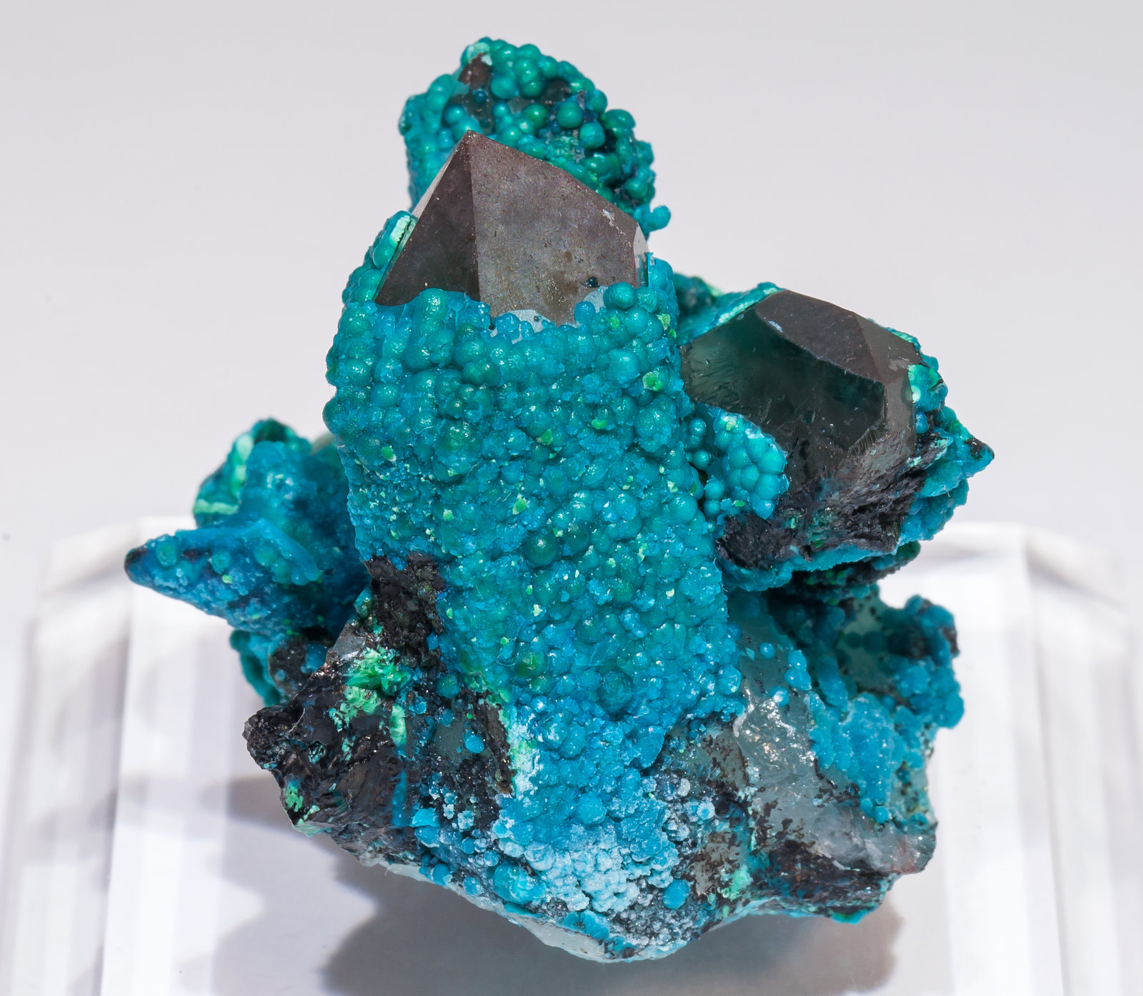 specimens/s_imagesAL5/Chrysocolla-TA88AL5s.jpg