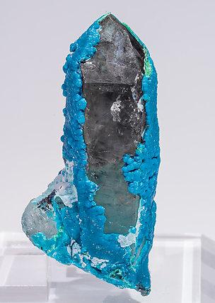 Chrysocolla on Quartz.