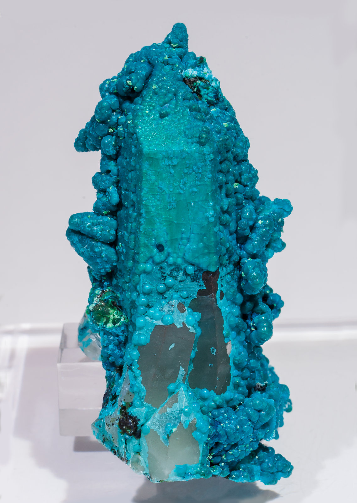 specimens/s_imagesAL5/Chrysocolla-TC90AL5f.jpg