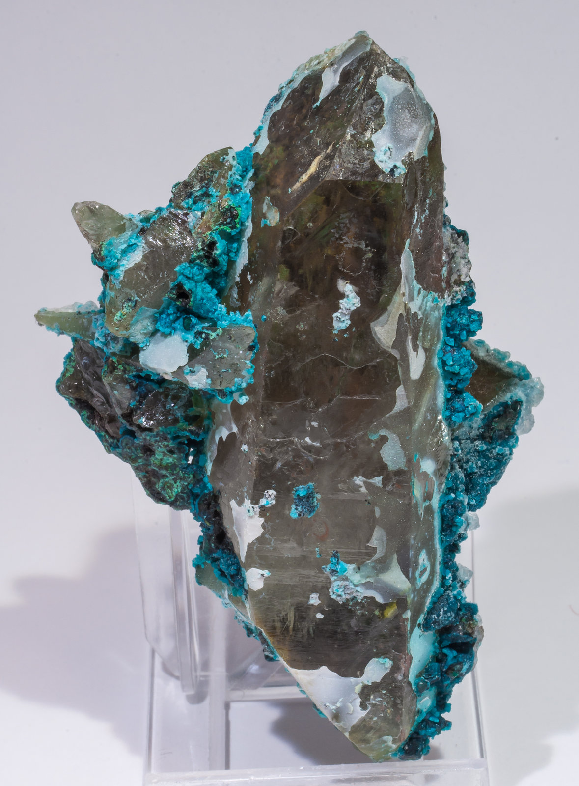 specimens/s_imagesAL5/Chrysocolla-TE89AL5f.jpg