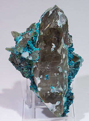 Chrysocolla on Quartz.