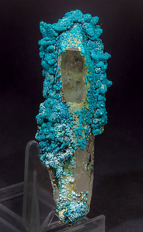 Chrysocolla on Quartz. Front