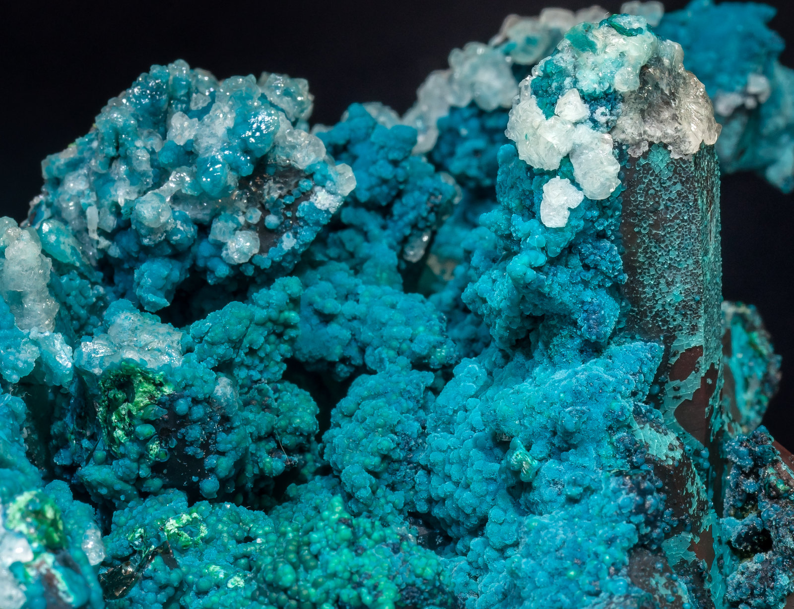 specimens/s_imagesAL5/Chrysocolla-TX56AL5d.jpg