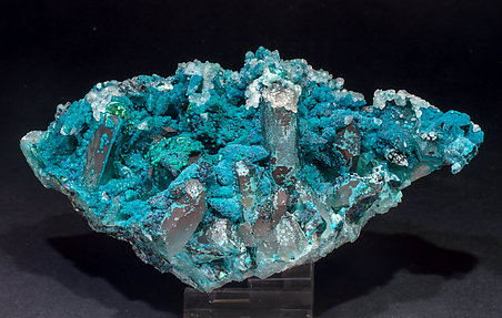 Chrysocolla on Quartz. 