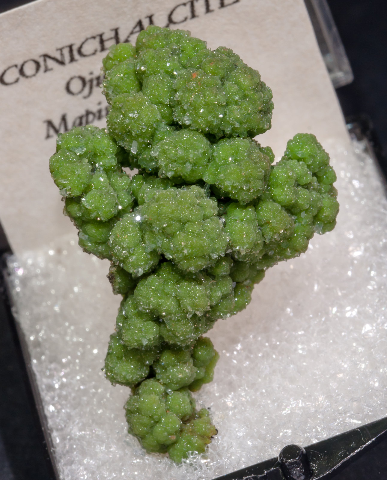 specimens/s_imagesAL5/Conichalcite-TK87AL5f2.jpg