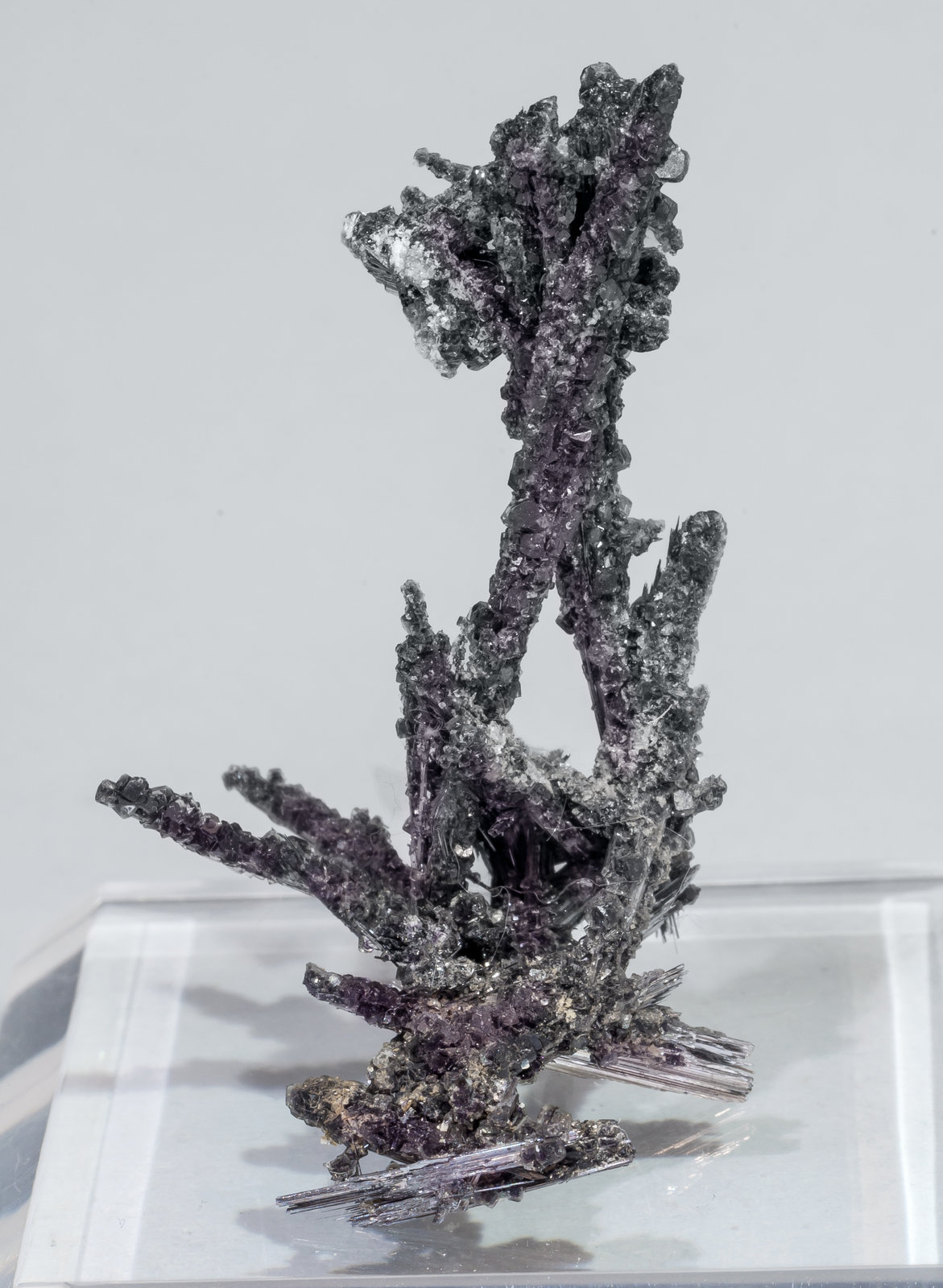 specimens/s_imagesAL5/Cosalite-TF73AL5f.jpg