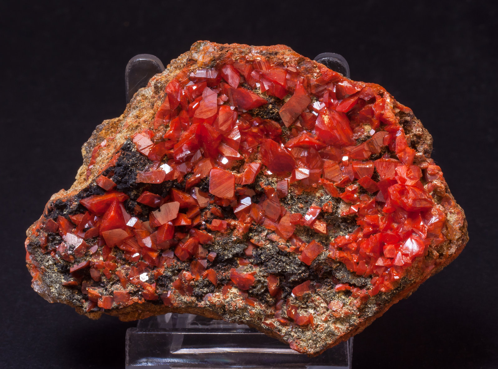 specimens/s_imagesAL5/Crocoite-ER94AL5f.jpg