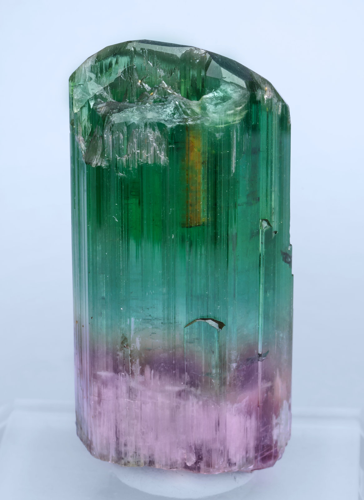 specimens/s_imagesAL5/Elbaite-MD94AL5r.jpg