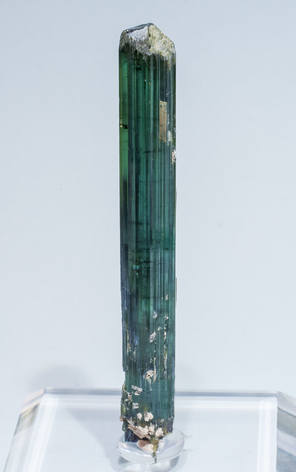 specimens/s_imagesAL5/Elbaite-MF30AL5f.jpg