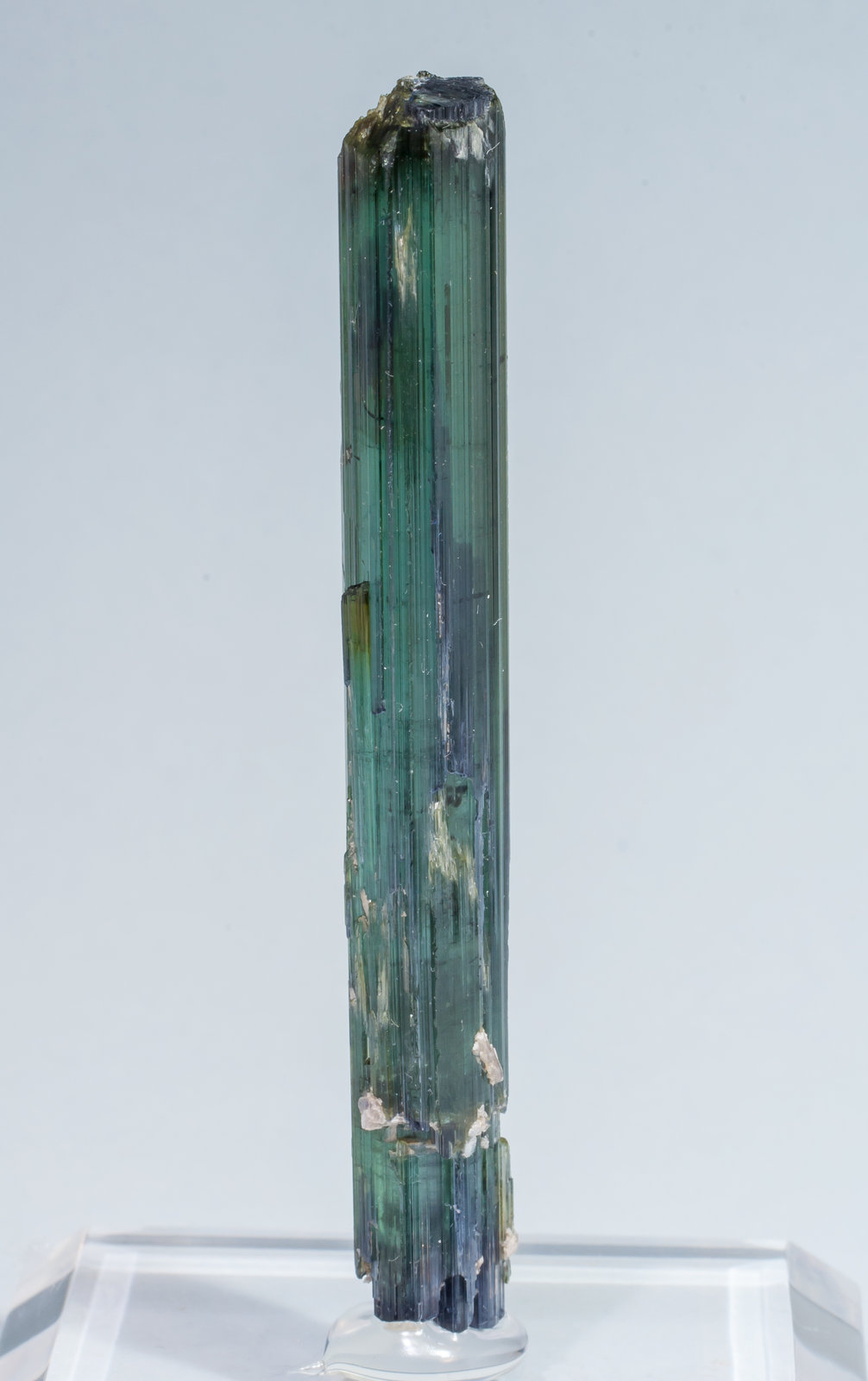 specimens/s_imagesAL5/Elbaite-MF30AL5r.jpg