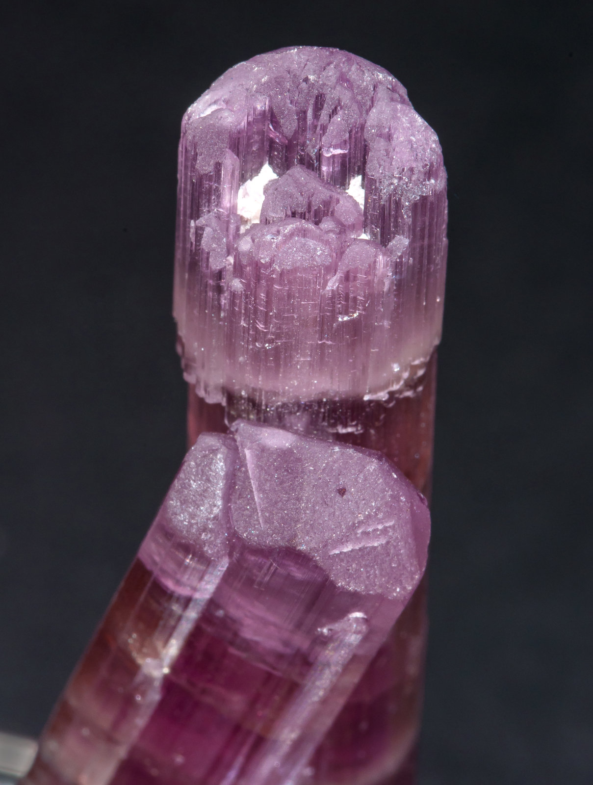 specimens/s_imagesAL5/Elbaite_rubellite-NR51AL5t.jpg